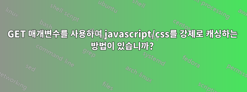 GET 매개변수를 사용하여 javascript/css를 강제로 캐싱하는 방법이 있습니까?