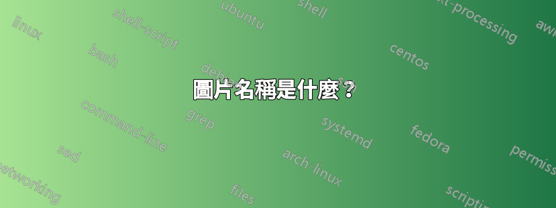 圖片名稱是什麼？