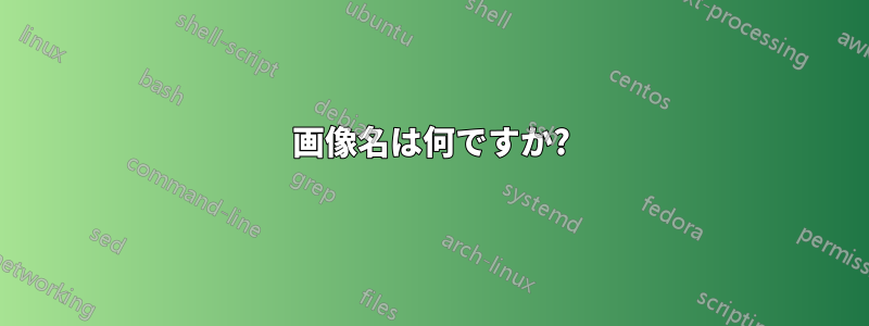 画像名は何ですか?