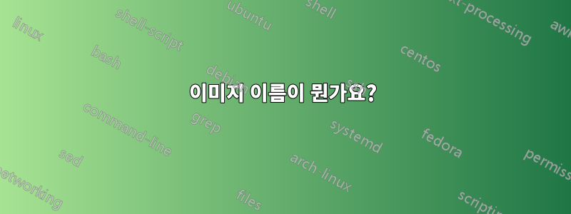 이미지 이름이 뭔가요?