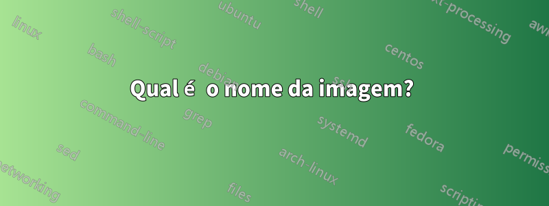 Qual é o nome da imagem?