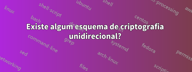 Existe algum esquema de criptografia unidirecional?