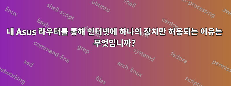 내 Asus 라우터를 통해 인터넷에 하나의 장치만 허용되는 이유는 무엇입니까?