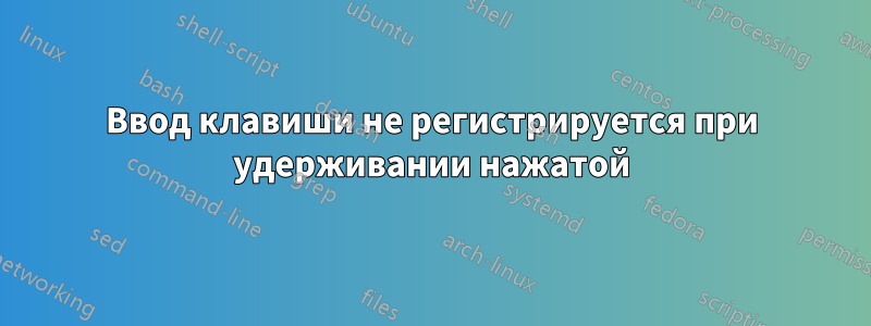 Ввод клавиши не регистрируется при удерживании нажатой
