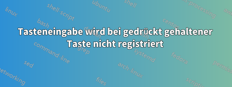 Tasteneingabe wird bei gedrückt gehaltener Taste nicht registriert