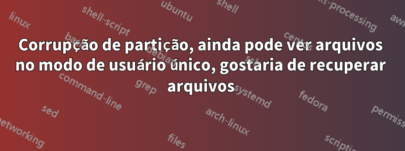 Corrupção de partição, ainda pode ver arquivos no modo de usuário único, gostaria de recuperar arquivos