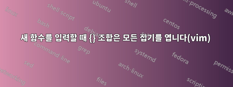 새 함수를 입력할 때 {} 조합은 모든 접기를 엽니다(vim)