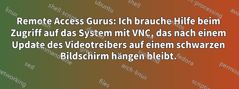 Remote Access Gurus: Ich brauche Hilfe beim Zugriff auf das System mit VNC, das nach einem Update des Videotreibers auf einem schwarzen Bildschirm hängen bleibt.