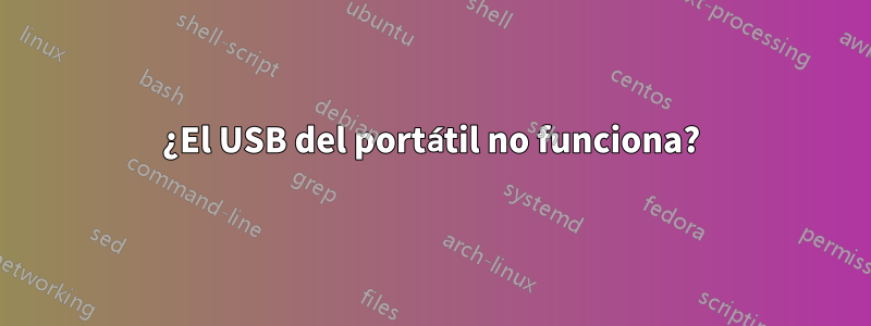 ¿El USB del portátil no funciona?