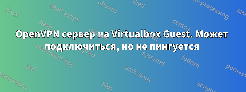 OpenVPN сервер на Virtualbox Guest. Может подключиться, но не пингуется