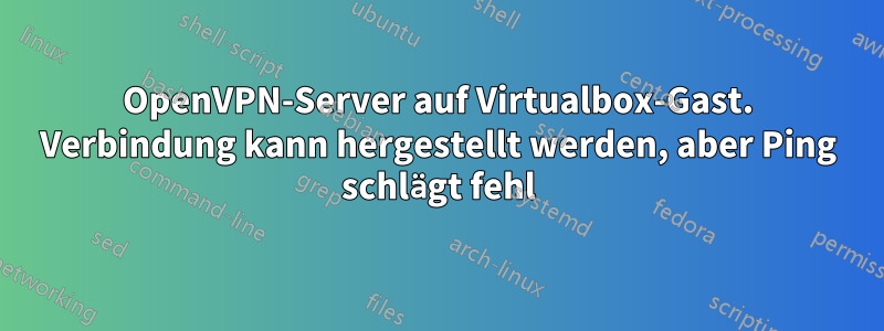 OpenVPN-Server auf Virtualbox-Gast. Verbindung kann hergestellt werden, aber Ping schlägt fehl