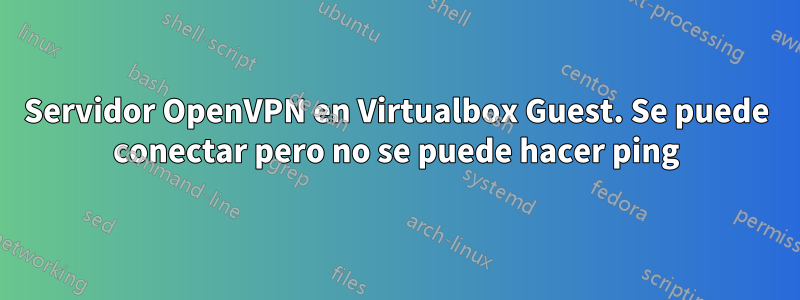 Servidor OpenVPN en Virtualbox Guest. Se puede conectar pero no se puede hacer ping