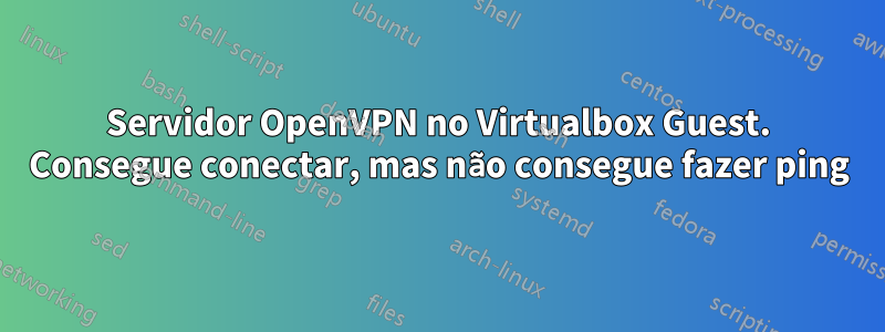 Servidor OpenVPN no Virtualbox Guest. Consegue conectar, mas não consegue fazer ping