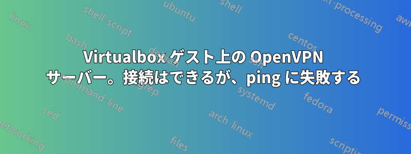 Virtualbox ゲスト上の OpenVPN サーバー。接続はできるが、ping に失敗する