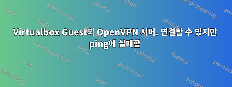 Virtualbox Guest의 OpenVPN 서버. 연결할 수 있지만 ping에 실패함