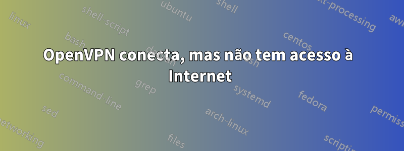 OpenVPN conecta, mas não tem acesso à Internet