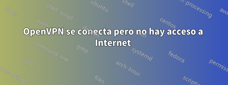 OpenVPN se conecta pero no hay acceso a Internet