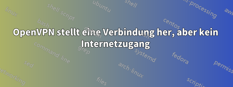 OpenVPN stellt eine Verbindung her, aber kein Internetzugang