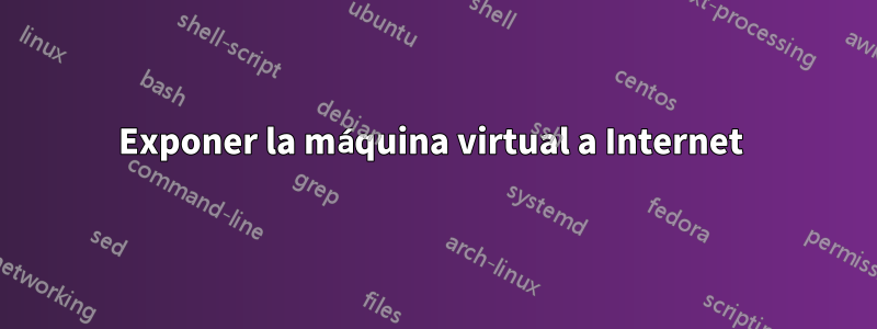 Exponer la máquina virtual a Internet 