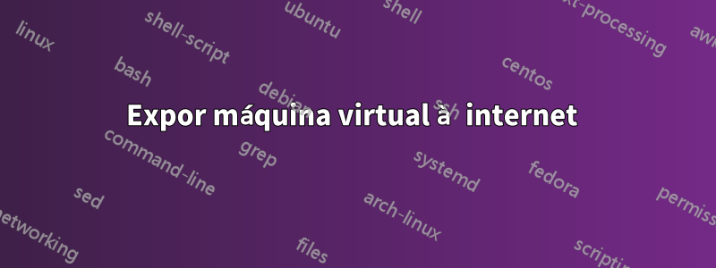 Expor máquina virtual à internet 