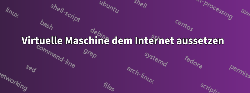 Virtuelle Maschine dem Internet aussetzen 