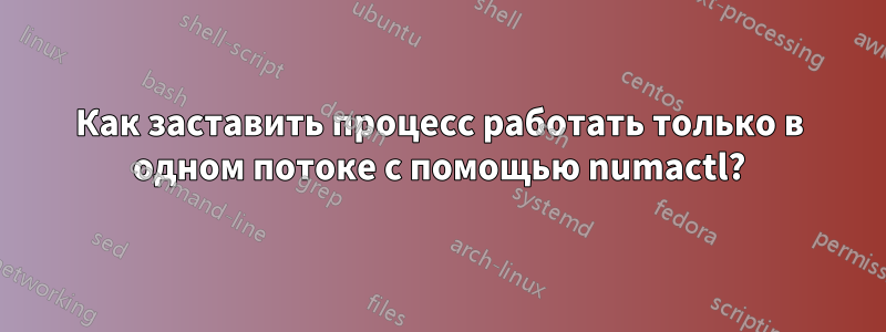 Как заставить процесс работать только в одном потоке с помощью numactl?