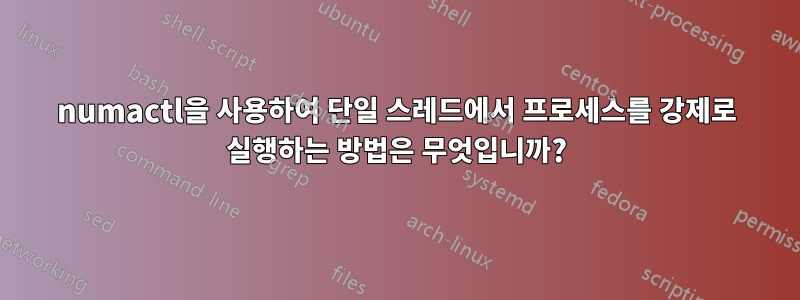 numactl을 사용하여 단일 스레드에서 프로세스를 강제로 실행하는 방법은 무엇입니까?