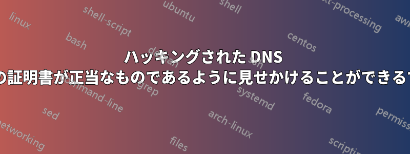 ハッキングされた DNS によって偽の証明書が正当なものであるように見せかけることができるでしょうか?