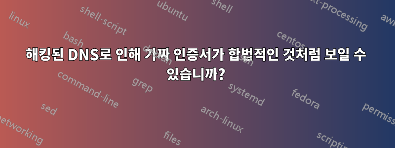 해킹된 DNS로 인해 가짜 인증서가 합법적인 것처럼 보일 수 있습니까?