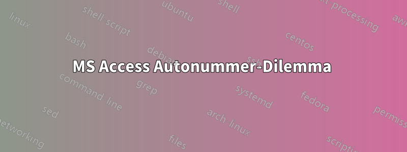 MS Access Autonummer-Dilemma