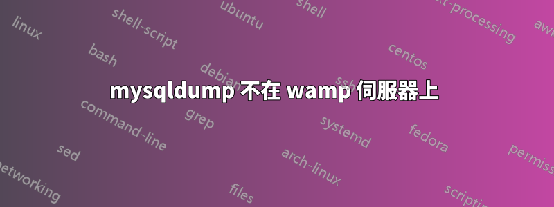 mysqldump 不在 wamp 伺服器上