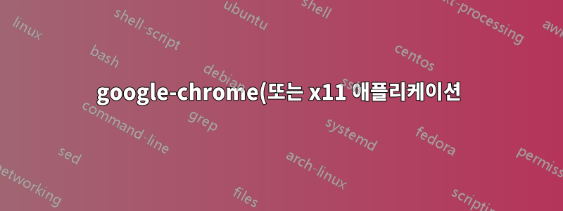 google-chrome(또는 x11 애플리케이션)의 인스턴스 이름을 설정하는 방법