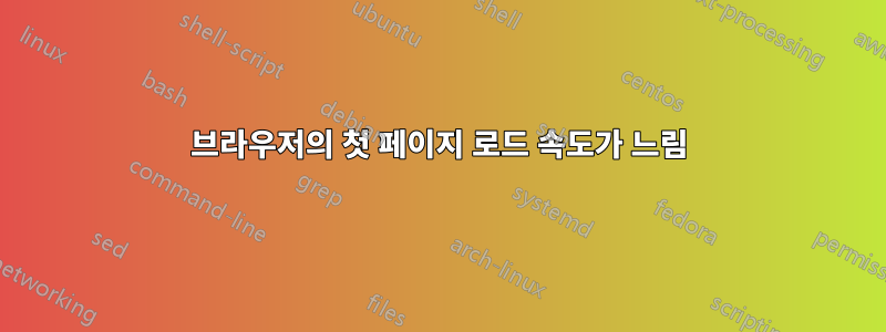 브라우저의 첫 페이지 로드 속도가 느림