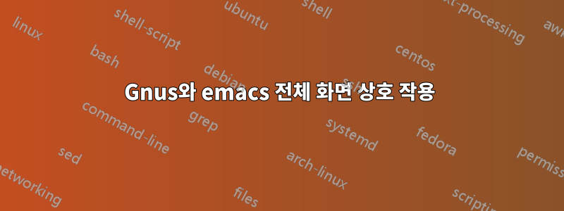 Gnus와 emacs 전체 화면 상호 작용