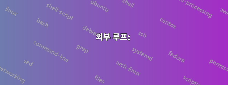 외부 루프: