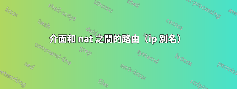 介面和 nat 之間的路由（ip 別名）