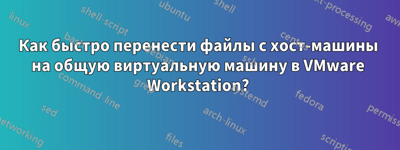 Как быстро перенести файлы с хост-машины на общую виртуальную машину в VMware Workstation?