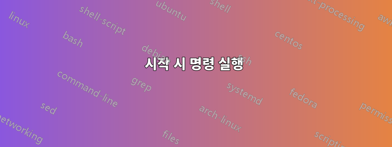 시작 시 명령 실행
