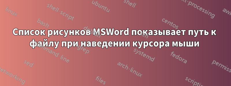 Список рисунков MSWord показывает путь к файлу при наведении курсора мыши