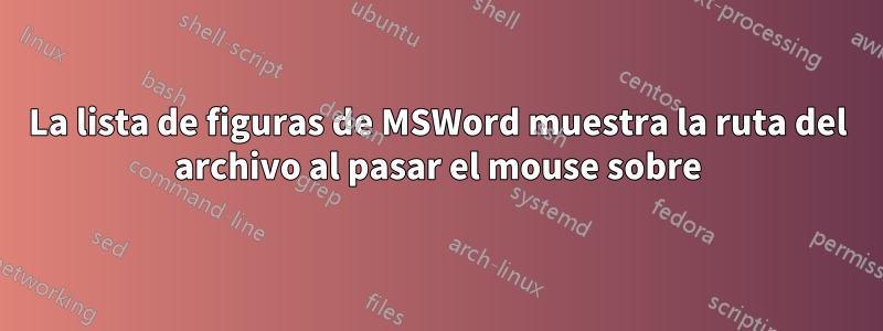 La lista de figuras de MSWord muestra la ruta del archivo al pasar el mouse sobre