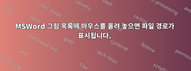 MSWord 그림 목록에 마우스를 올려 놓으면 파일 경로가 표시됩니다.