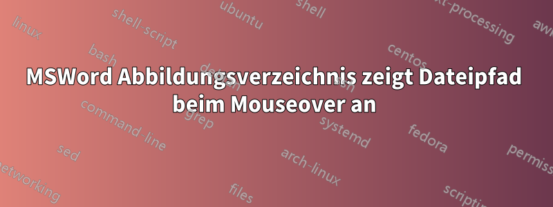 MSWord Abbildungsverzeichnis zeigt Dateipfad beim Mouseover an