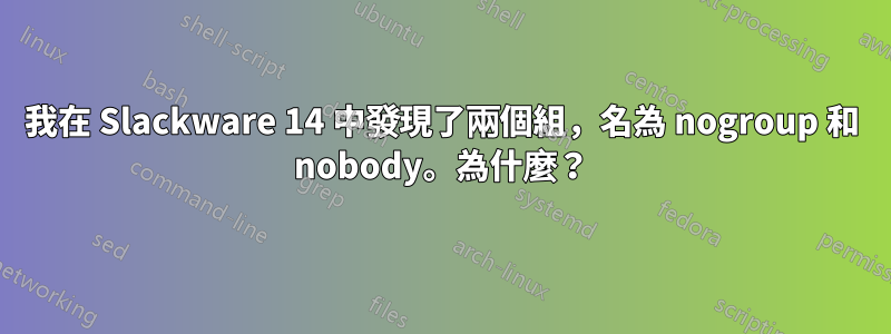 我在 Slackware 14 中發現了兩個組，名為 nogroup 和 nobody。為什麼？