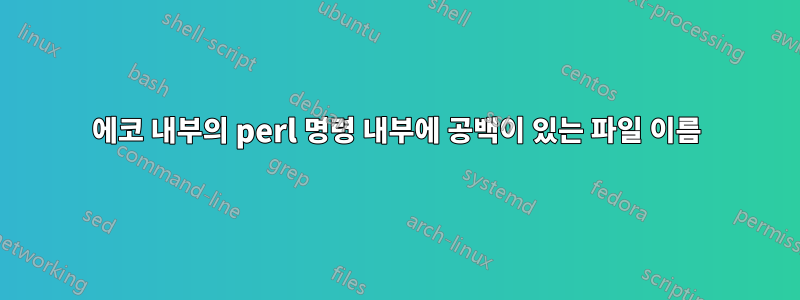 에코 내부의 perl 명령 내부에 공백이 있는 파일 이름