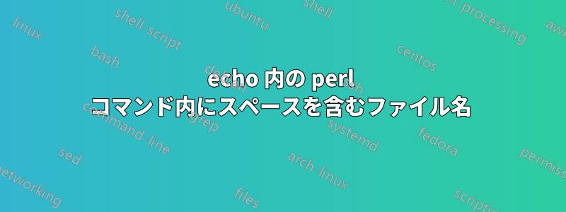 echo 内の perl コマンド内にスペースを含むファイル名