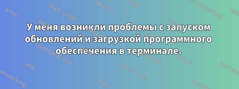 У меня возникли проблемы с запуском обновлений и загрузкой программного обеспечения в терминале.