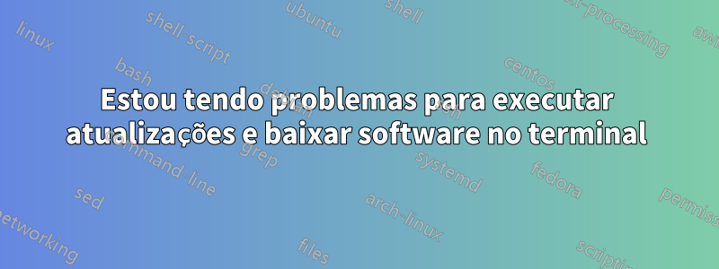 Estou tendo problemas para executar atualizações e baixar software no terminal