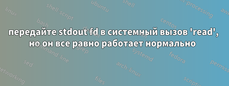 передайте stdout fd в системный вызов 'read', но он все равно работает нормально 