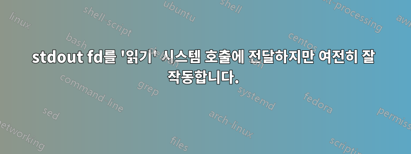 stdout fd를 '읽기' 시스템 호출에 전달하지만 여전히 잘 작동합니다.