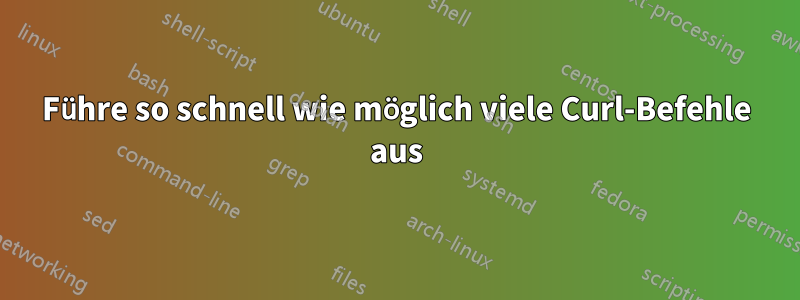 Führe so schnell wie möglich viele Curl-Befehle aus